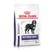 Royal Canin Expert Neutered Adult Large Dog pour chien - 12 kg