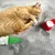 Gatto rosso gioca con due giocattoli di stoffa natalizi verdi e rossi su tappeto grigio.