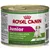 Økonomipakke: Royal Canin våtfôr 48 x 85g / 195 g
