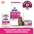 Hill's Prescription Diet Gastrointestinal Biome pre mačky, digestive/fibre care, suché a mokré krmivo s kuracím. Klinicky potvrdené: zdravá stolica do 24 hodín. Hill's Prescription Diet Gastrointestinal Biome pre mačky, digestive/fibre care, suché a mokré krmivo s kuracím. Klinicky potvrdené: zdravá stolica do 24 hodín.