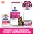 Hill's Prescription Diet Gastrointestinal Biome Trocken- und Nassfutter, klinisch bestätigt für gesunden Kotabsatz in nur 24 Stunden. Probiere unser köstliches Trocken- und Nassfutter aus. Hill's Prescription Diet Gastrointestinal Biome Trocken- und Nassfutter, klinisch bestätigt für gesunden Kotabsatz in nur 24 Stunden. Probiere unser köstliches Trocken- und Nassfutter aus.