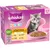 Pakiet mieszany Whiskas Junior, saszetki, 12 x 85 g Pakiet mieszany Whiskas Junior, saszetki, 12 x 85 g
