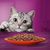 Gemengd Pakket Whiskas 1+ Adult Maaltijdzakjes 12 x 85 g Kattenvoer