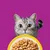 Multipakke Whiskas 1+ Adult porsjonspose 12 x 85 g Multipakke Whiskas 1+ Adult porsjonspose 12 x 85 g