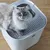 Котешка тоалетна с перфориран капак, върху който седи котка със светла козина и сини очи. Показана е функцията на капака за намаляване на разпиляването на пясък.