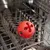 Balle rouge en plastique avec inscription 'NOMAD TALES' placée dans un lave-vaisselle ouvert, montrant la compatibilité avec le lavage en machine.