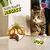 Dreamies ShakeUps - Seafood Celebrations - 55g