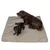 Deux chiens allongés sur une couverture pour chien grise à surface douce. La couverture présente un petit logo dans un coin.