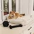 Dog lying on a cream-coloured dog bed made of ribbed fabric. Two black rope toys, a ball and a bone, are next to it.