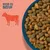 Bol avec des croquettes brunes et vertes, à côté le texte : RICHE EN BŒUF et la silhouette d'une vache. Bol avec des croquettes brunes et vertes, à côté le texte : RICHE EN BŒUF et la silhouette d'une vache.