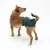 Cane con pannolino verde regolabile per cani, adatto per incontinenza o calore.