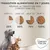 Tableau de transition alimentaire en 7 jours vers Concept for Life : jour 1–2 25 %, jour 3–4 50 %, jour 5–6 75 %, jour 7+ 100 %. Chiens et chats illustrés. Marque Concept for Life visible.