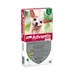 Advantix® 40/200 Spot-On Solution voor Honden tot 4 kg - 4 Pipetten x 0,4 ml - BE