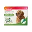 beaphar SPOT-ON für große Hunde - Sparpaket: 6 Pipetten x 2 ml