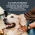 Encore Dog Tin Multibuy 48 x 156g