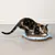 Chat tricolore sur un griffoir en carton ondulé avec bordure bleue, posé au sol. Le produit est utilisé par le chat, aucun texte visible.