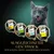 Sheba Sauce Collection, barquettes de 85 g avec chat gris. Texte en allemand : AUSGEZEICHNETER GESCHMACK DEM KATZEN NICHT WIDERSTEHEN KÖNNEN.
