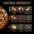 Image showing key ingredients for chicken, turkey, and fish recipes: carrots, apples, wholegrain pasta; sweet potato, cranberry extract, green beans; fish oil, green beans, wholegrain rice.