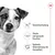 Gewichtserhaltung, starke und gesunde Knochen, optimale Unterstützung der Gesundheit. Drei Symbole mit Hund, Gelenken und Herz.