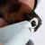 Close-up of a dog's paw being groomed with an electric claw trimmer.