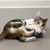 Gato juega con una pelota de juguete colorida. El producto muestra el uso de un juguete para gatos.