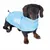 Teckel portant un manteau pour chien bleu clair avec bandes réfléchissantes et fermeture à scratch visible sur le côté.