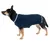Hund trägt einen dunkelblauen Strickpullover mit weissem Streifen am Kragen und Muster am Rücken.