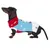 Dackel trägt einen gestrickten Hundepullover in Rot, Blau und Weiss mit Schneeflocken- und Weihnachtsmotiv. Sichtbares Logo: Trixie.