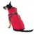 Cane con cappotto rosso con strisce rifrangenti e pettorina integrata. Visibili: cerniera posteriore, cinturini regolabili.