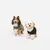 Deux chiens portant des vêtements pour chien, l’un avec un manteau vert et l’autre avec un pull noir, présentés sur fond blanc.