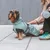 Petit chien portant un manteau imperméable vert avec capuche, en laisse extensible de marque Round Tales tenue par une personne assise à côté, chaussures vertes visibles.