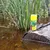 JBL Novo Pleco, žlutý design krmiva pro ryby dna, zobrazený na kmeni stromu v přírodním prostředí s vodou a rostlinami.