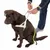 Dog harness with reflective stripes and yellow lead, worn by a dog. Person attaching the lead to the harness.