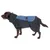 Dog wearing a black and blue waterproof dog jacket with adjustable fastening and reflective stripes.