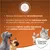 Concept for Life Outdoor Cats  - с подобрена рецепта!