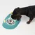 Dog eating from a two-tone feeding bowl with two dishes, one made of stainless steel and one made of plastic.