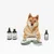 kooa Pflegeprodukte: Scented Refreshing Shampoo, Whitening Shampoo und Shine Spray. Zwei grüne Bürsten mit Metallborsten sichtbar.