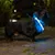 Hund mit leuchtendem Halsband bei Nacht, geeignet für bessere Sichtbarkeit im Dunkeln.