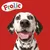 Frolic merknaam met slogan 'Naturally Irresistible' en afbeelding van een dalmatiërhond op rode achtergrond. Tekst in het Engels.