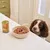 Opened can of Lily's Kitchen Sunday Lunch wet food next to a bowl filled with the food, placed on a kitchen counter.