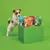 Dog standing beside four packs of Lily's Kitchen treats in duck, chicken, beef, and pork flavours displayed on a green block.