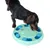 Dog playing with a green and blue interactive toy with compartments for treats.