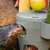 Gallina comiendo de un dispensador de comida gris con aberturas, decorado arriba con manzana, maíz y pepino.