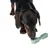 Dog with green rubber chew toy suitable for dental care.