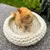 Panier rond en grosse maille tressée crème, avec un chat roux assis à l’intérieur. Le matériau visible semble être du tissu épais tricoté.