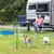 Zwei Hunde hinter einem grünen mobilen Zaun auf einer Wiese, im Hintergrund ein Campingwagen mit Tisch und Stühlen.