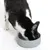 Gatto bianco e nero mangia da una ciotola grigia con logo Batman. Il prodotto mostra l’uso di una ciotola per alimenti.