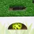 Toy box with green artificial grass and yellow ball in a display window.