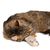 zooplus Basics Katzenspielzeug-Set Kitty mit Katzenminze