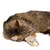 zooplus Basics Lot de jouets Kitty à l'herbe à chat